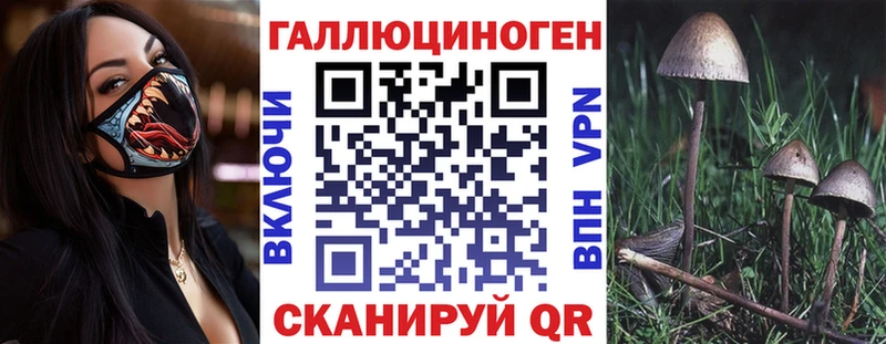 Псилоцибиновые грибы Psilocybe  нарко площадка официальный сайт  Малмыж 